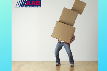 Déménagement professionnel : les avantages de l’aide d’un déménageur